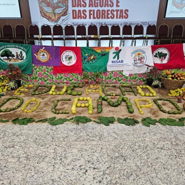 WhatsApp Image 2024-04-29 at 18.46.20